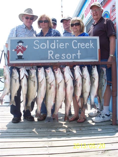 stripers online fishing forum